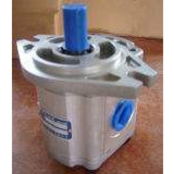 QT63-80-A Pompa ad ingranaggi idraulica